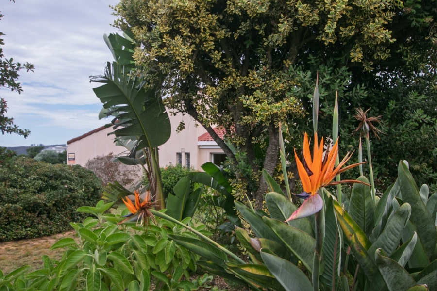3 Bedroom Property for Sale in Paradise Western Cape
